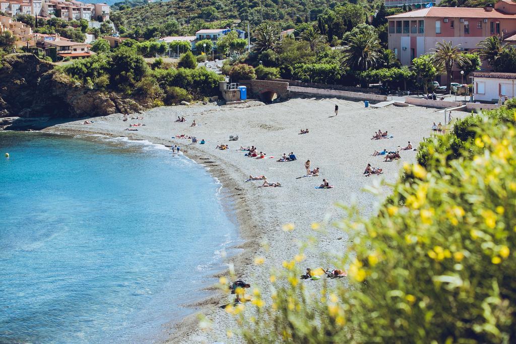 Regina'S Banyuls - Spatious Apartment Next To The Beach Eksteriør bilde